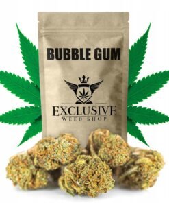 Bubble gum weed