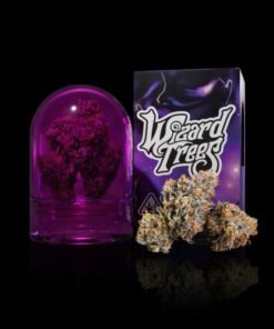 Wizard Trees Zangria