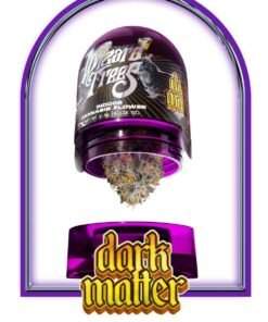Wizard Trees Dark Matter Kopen